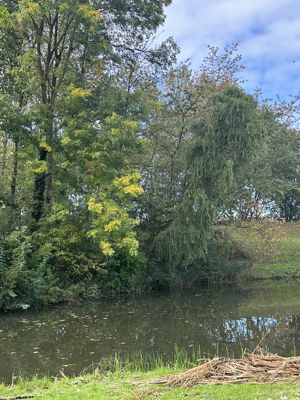 Foto 58 uit X-Herfst Verschillende jaren  2026