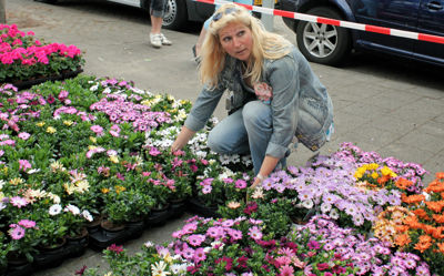 Foto 29 uit Opzoomeren 19_05