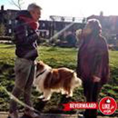 Foto 335 uit LIKEJEWIJK FOTO'S_2