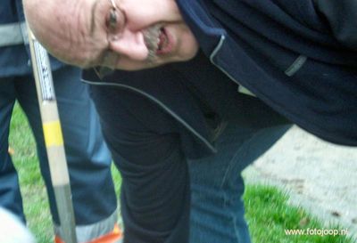 Foto 2 uit bloembollen planten