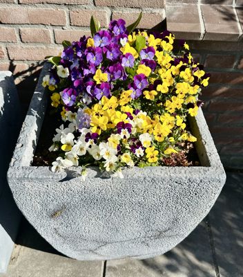 Foto 199 uit Rondje Beverwaard 2026