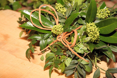 Foto 350 uit Workshops-Bloemen