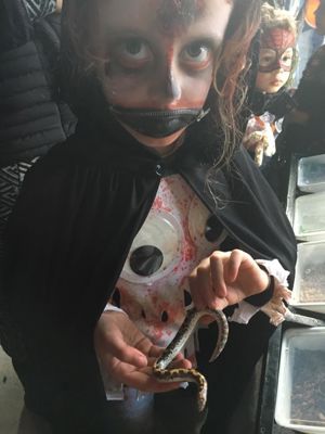 Foto 33 uit HALLOWEEN2016