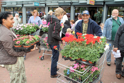 Foto 97 uit OpzoomerenPlantjes