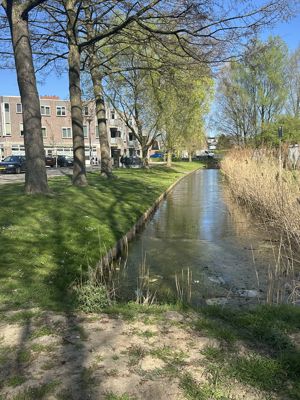 Foto 258 uit Rondje Beverwaard 2026