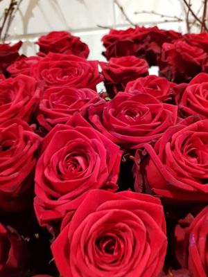 Foto 23 uit De Bloemenboetiek