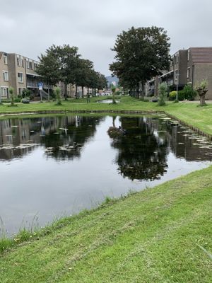 Foto 52 uit Rondje Beverwaard 2026