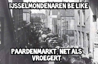 Foto 50 uit Paardenmarkt29-6