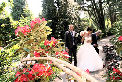 Foto 91 uit Bruiloft-Beverwaard