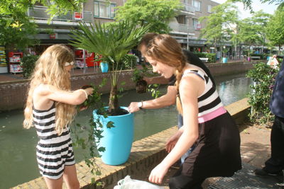 Foto 62 uit HippePlantenBakken