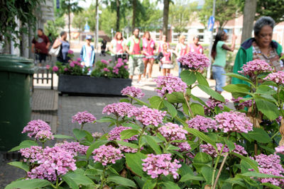 Foto 90 uit Keti-Koti 3_8_13