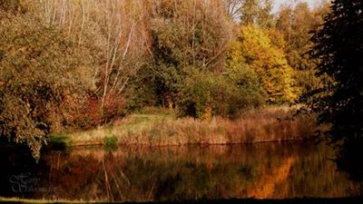 Foto 32 uit Foto's Beverwaard