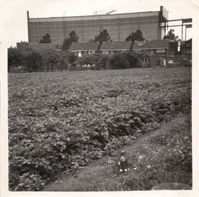 Foto 165 uit SloopEnOpbouwWIJK