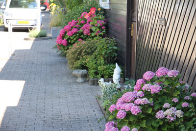 Foto 5 uit MooisUitBeverwaard