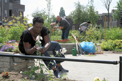 Foto 49 uit Tropische Tuin12_6