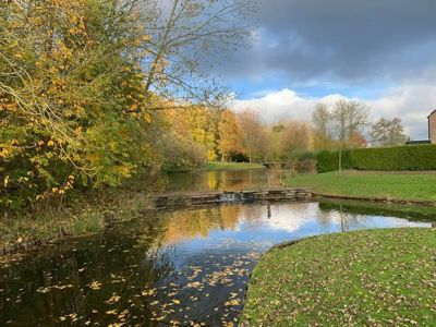 Foto 95 uit X-Herfst Verschillende jaren  2026