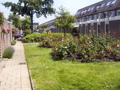 Foto 45 uit opzomeren 2005