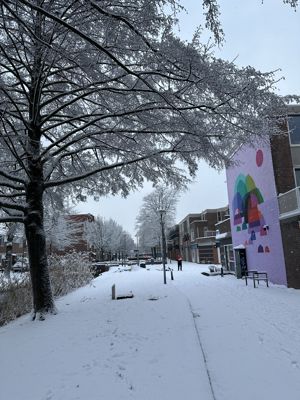 Foto 15 uit X- Sneeuw in de Beverwaard 2026
