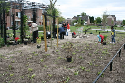 Foto 25 uit Tropische Buurttuin