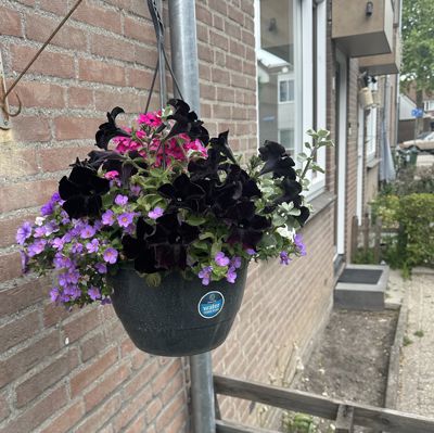 Foto 165 uit Rondje Beverwaard 2026