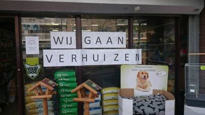 Foto 6 uit Dieren Zaak Catdox