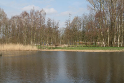 Foto 529 uit StratenBEVERWAARD