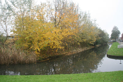 Foto 166 uit Herfst In Beverwaard