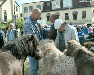 Foto 16 uit Paardenmarkt new07