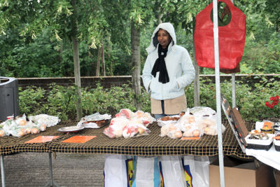 Foto 91 uit Wijkfeest25-06-2011