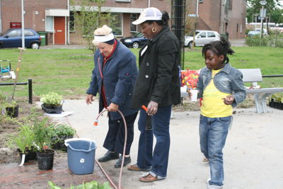 Foto 58 uit Tropische Buurttuin