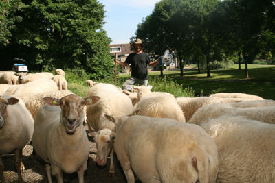 Foto 12 uit OpFotoinBeverwaard