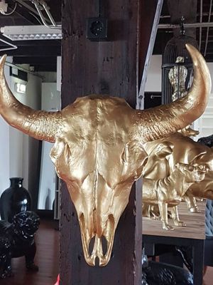 Foto 201 uit NeelyshaBloemen