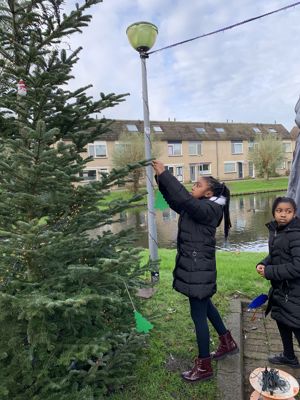 Foto 12 uit Kerstboom optuigen