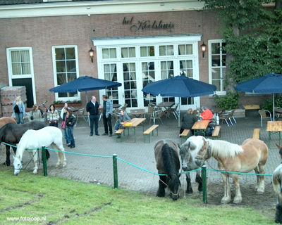 Foto 12 uit Paardenmarkt new07
