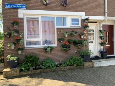 Foto 281 uit StratenBEVERWAARD