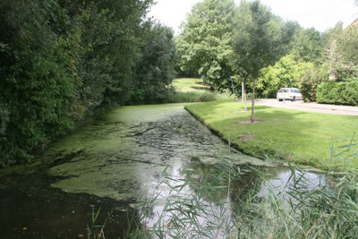 Foto 140 uit StratenBEVERWAARD