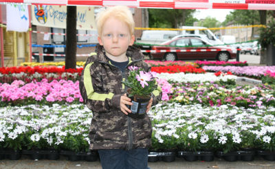 Foto 11 uit Opzoomeren 19_05