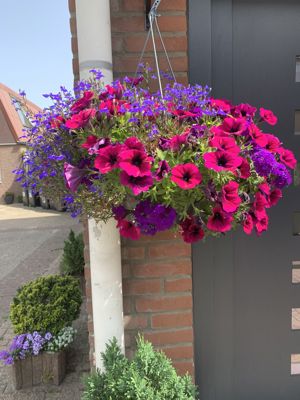 Foto 60 uit Lente En Zomer 2022