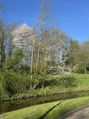 Foto 188 uit Rondje Beverwaard 2026