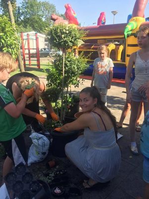 Foto 27 uit VrolijkSevenaerstraat