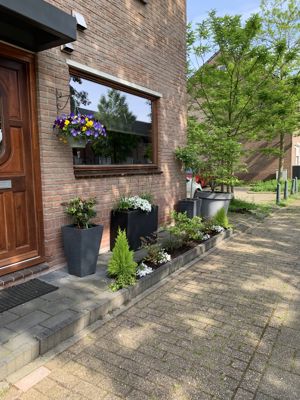 Foto 152 uit Rondje Beverwaard 2026