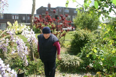 Foto 290 uit TropischeTuin 2017