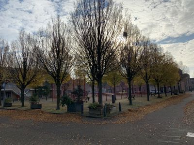 Foto 380 uit Rondje Beverwaard 2026