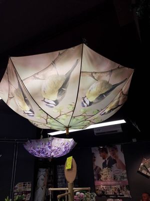 Foto 24 uit NeelyshaBloemen