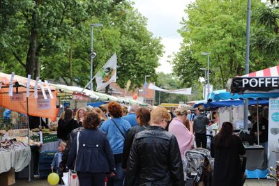 Foto 122 uit Paardenmarkt29-6