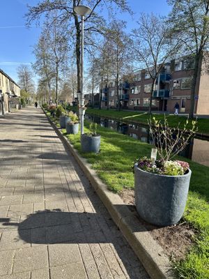 Foto 186 uit Rondje Beverwaard 2026