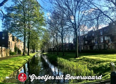 Foto 117 uit LIKEJEWIJK-2016