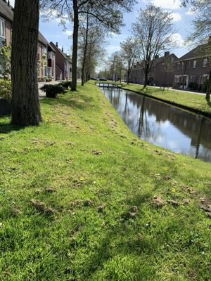 Foto 466 uit Rondje Beverwaard 2026