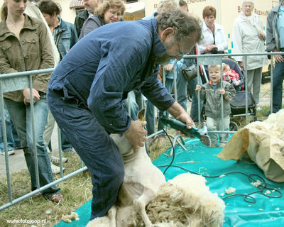 Foto 48 uit Paardenmarkt new07