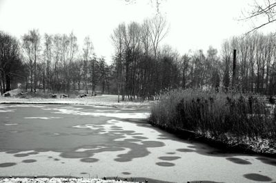 Foto 69 uit WinterIn Beverwaard